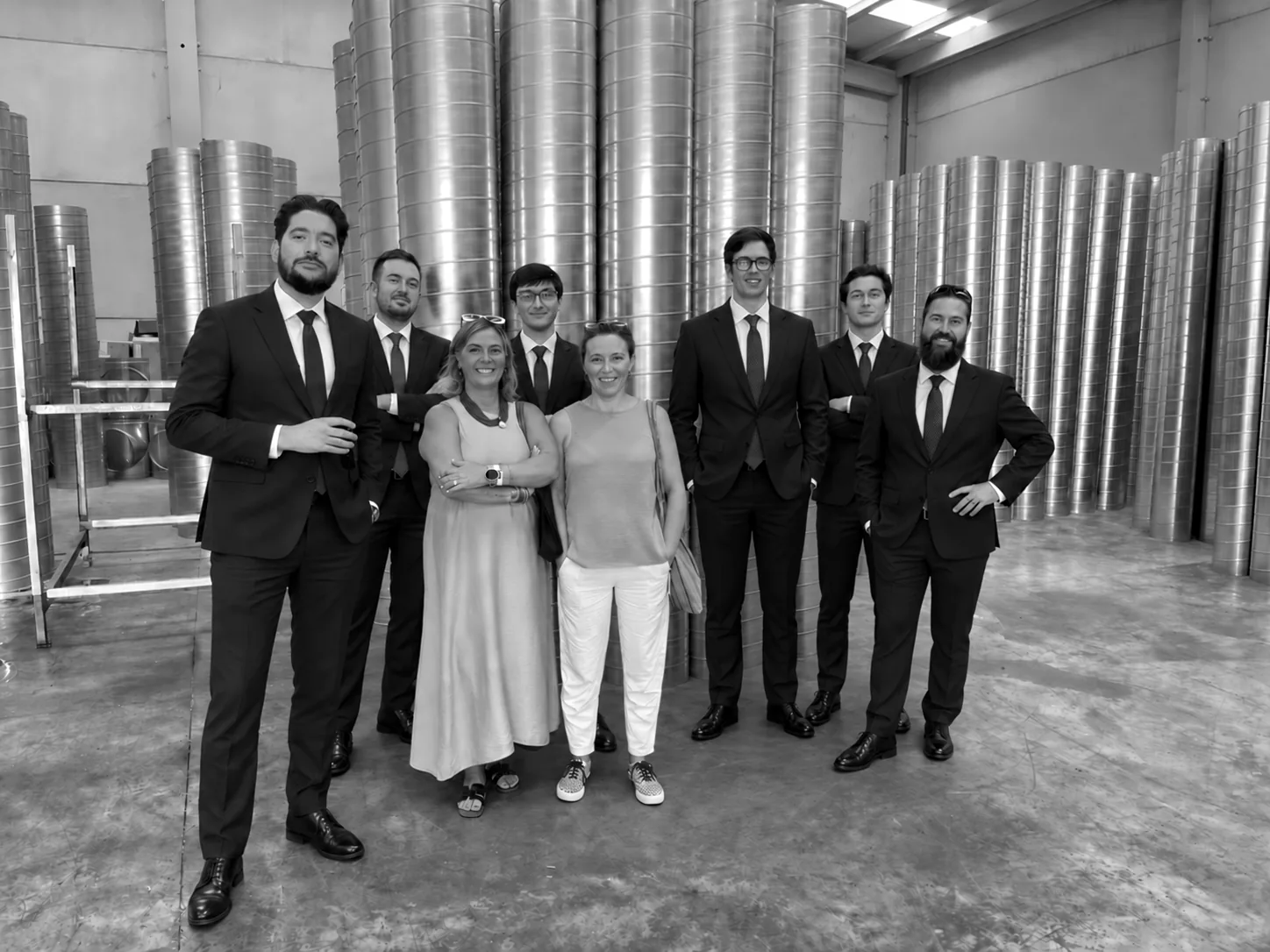 Equipo de masing engineering: David, Antonio, Ana, Gonzalo, Emiliano, Vega, Manuel y Eduardo